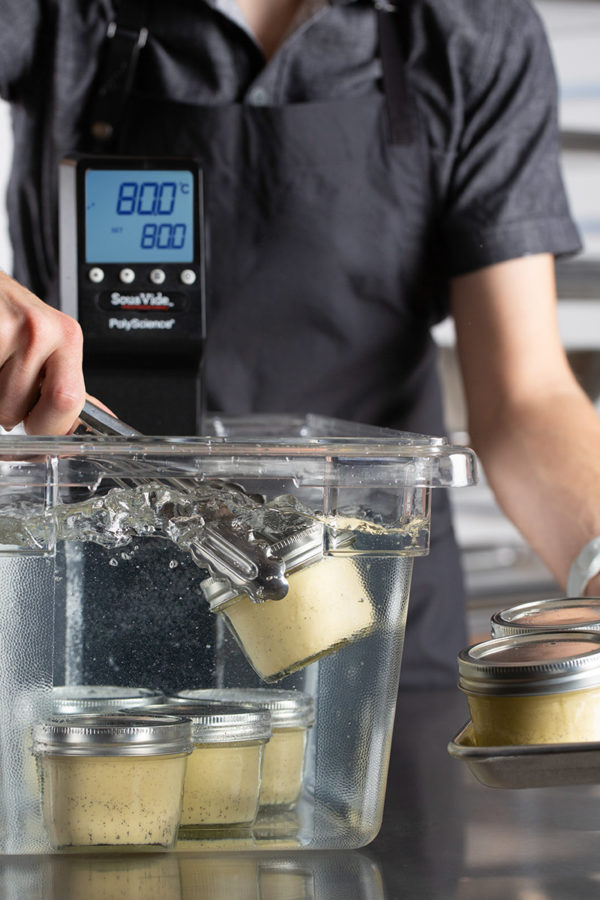 Sage·PolyScience - Sous Vide Professional Chef Series - Image 5