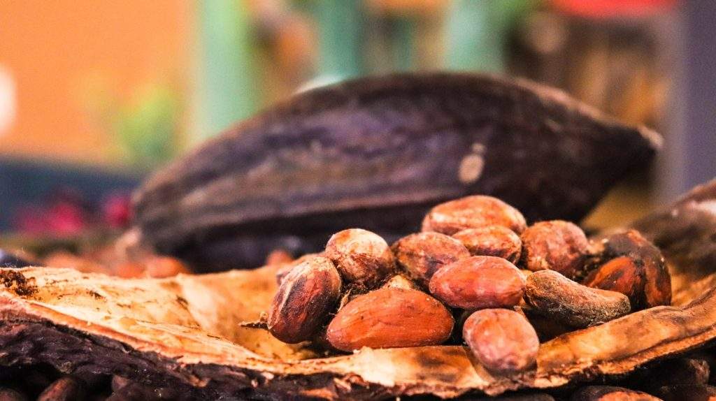 7 Facebook Pages To Follow About cocoa beans