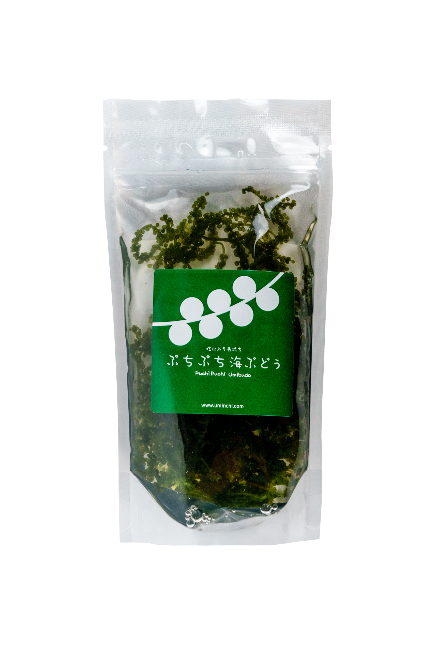 Alga Umi Budo